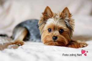 img_20250611_134919.jpg
